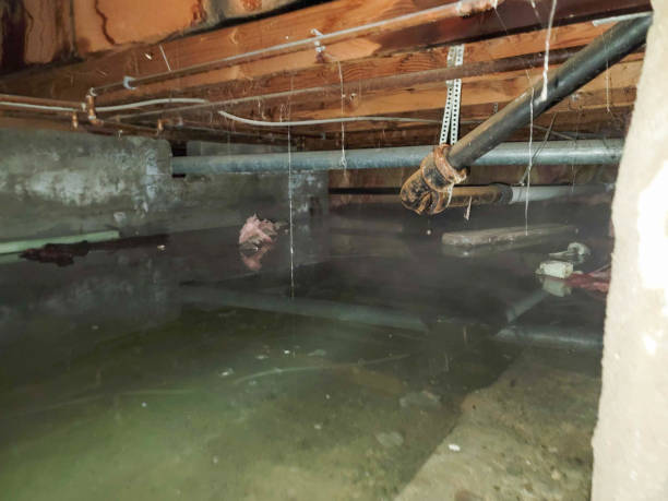 Water damage restoration experts in WA