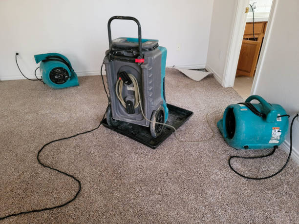 Best Local water damage restoration  in Clear Lake, WA