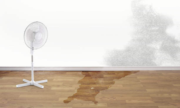 Best Commercial water damage restoration  in Clear Lake, WA