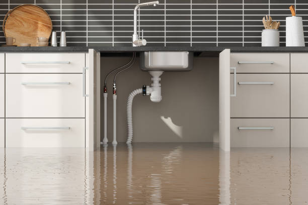 Best Water damage cleanup near me  in Clear Lake, WA