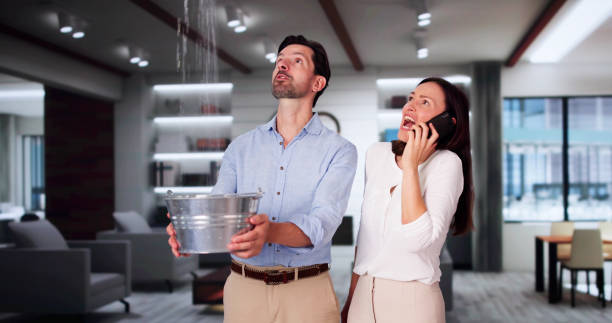 Best Water damage contractors near me  in Clear Lake, WA